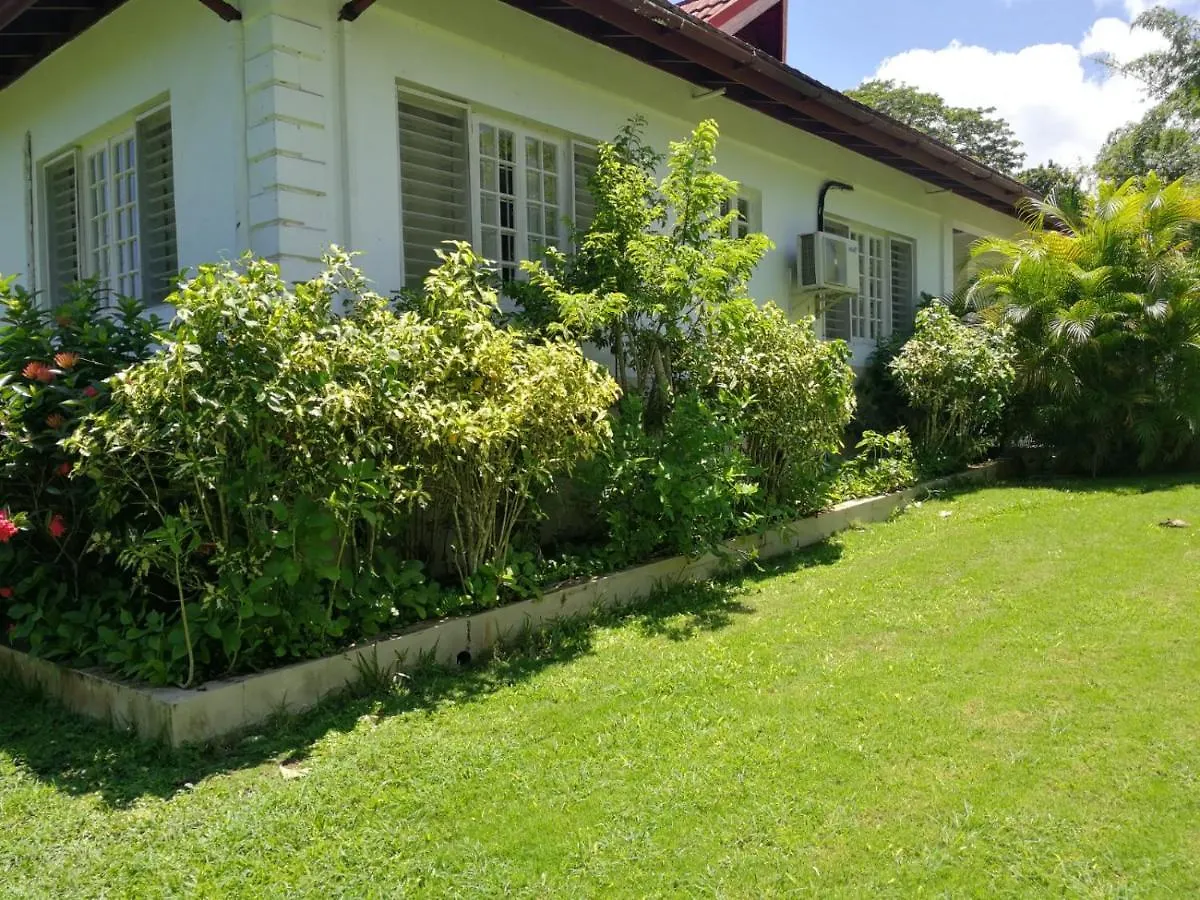 Great River Private Retreat Montego Bay Apartment