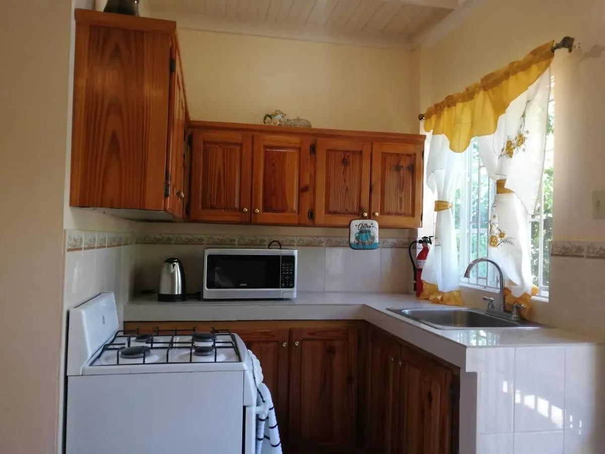 Great River Private Retreat Montego Bay Jamaica