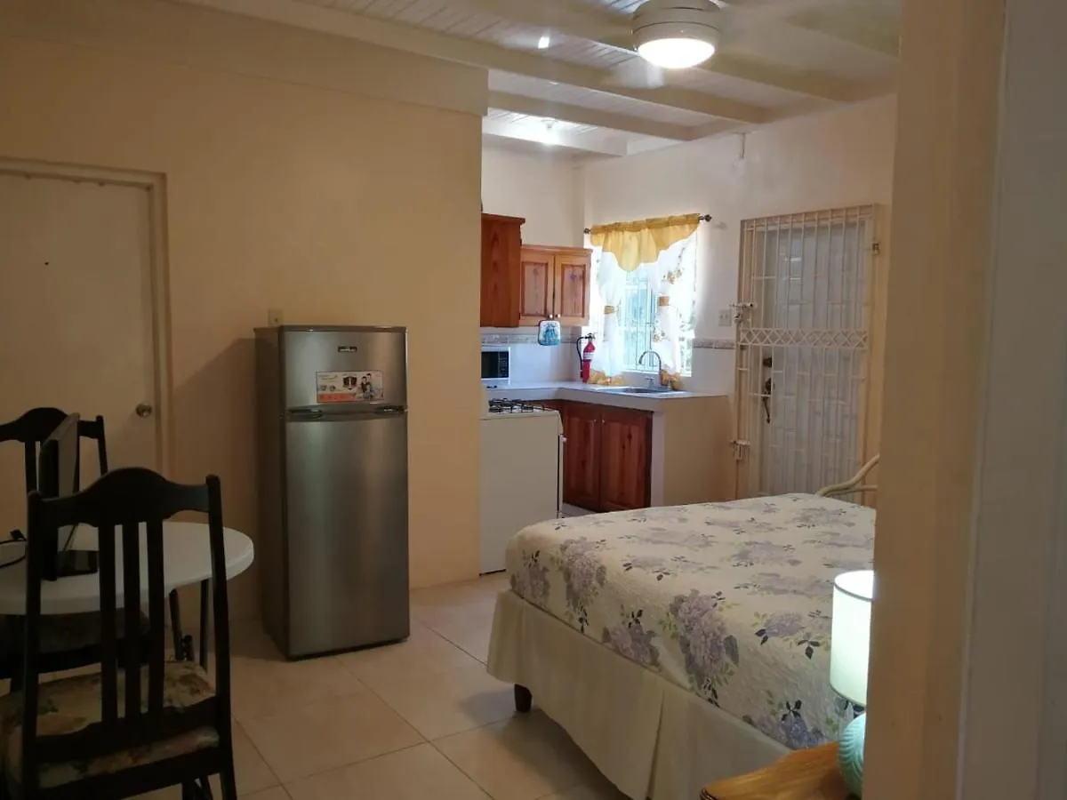 Great River Private Retreat Montego Bay